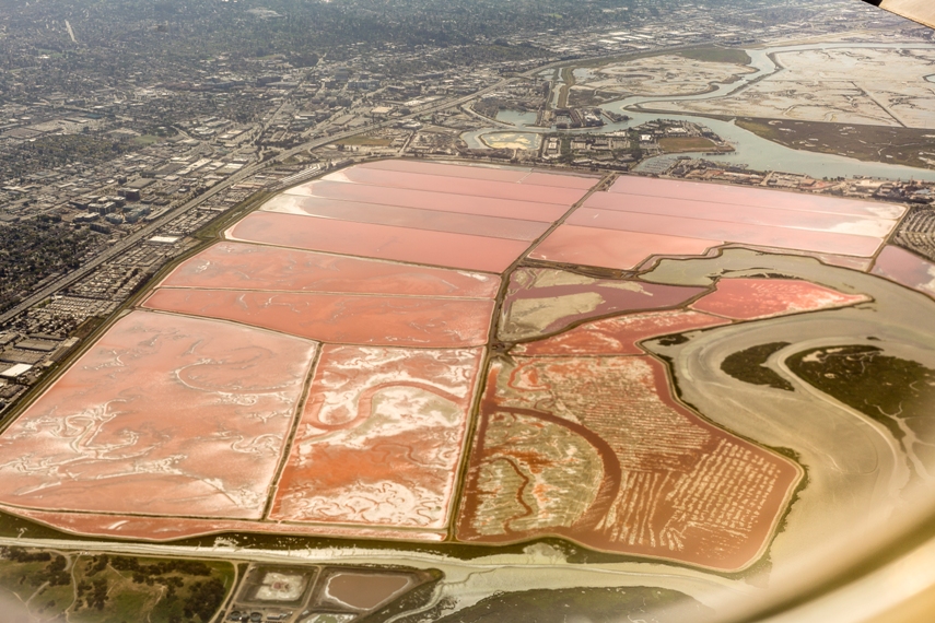 20180426 RG 5D2 30359