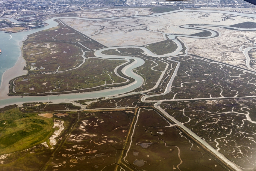 20180426 RG 5D2 30362